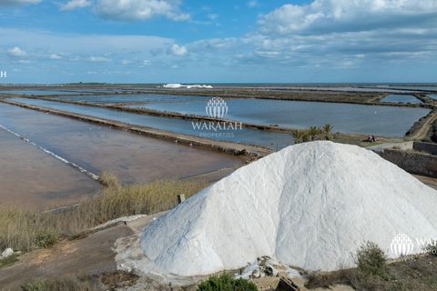 Farm i Tavira, Faro, Tavira - € 2.500.000 | Ref: QuintaRiaFormos - foto 4